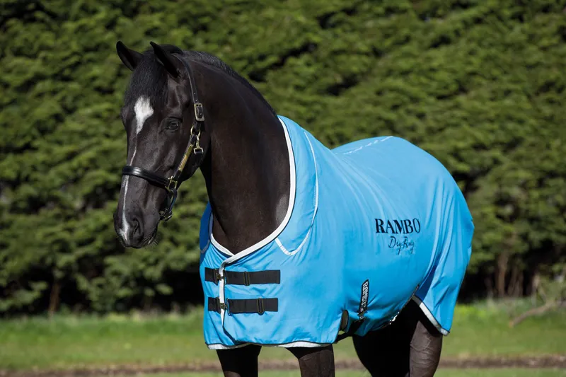 Rambo Dry Rug Supreme Blue/Black/White-1